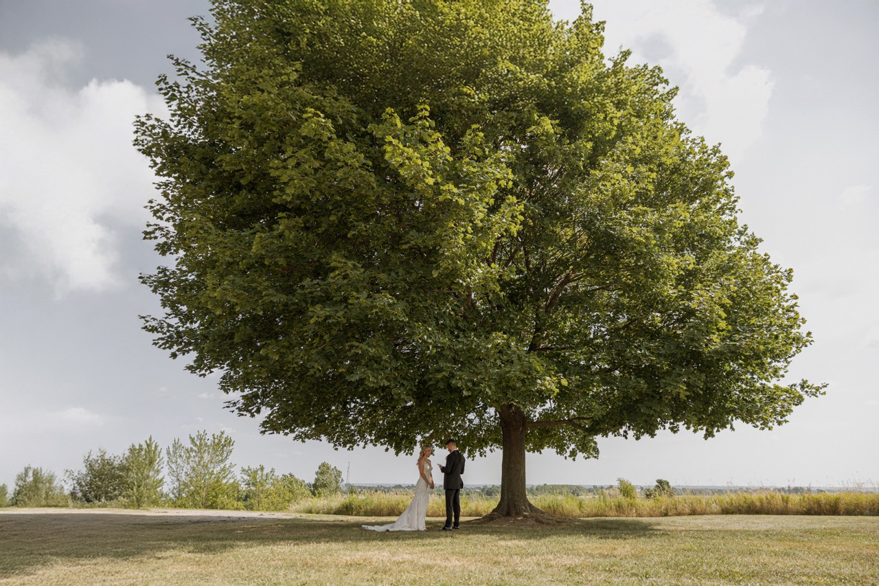 Stephanie&Liam–401 Large